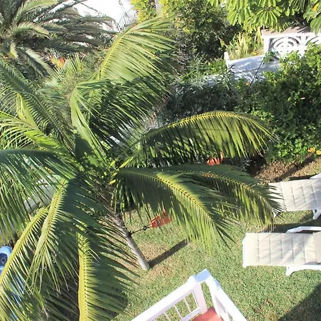 In Protected Space In Front Of The Sea Willa Los Realejos