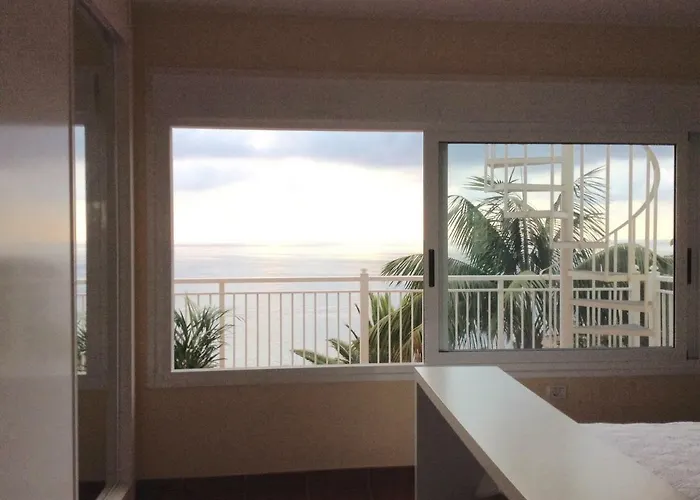 فيلة In Protected Space In Front Of The Sea *