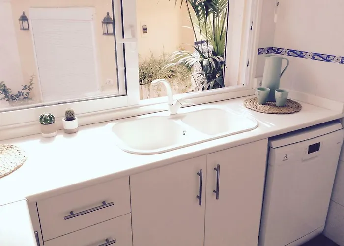 فيلة In Protected Space In Front Of The Sea لوس رياليخوس