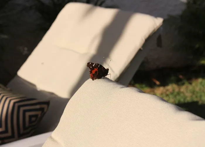 In Protected Space In Front Of The Sea لوس رياليخوس