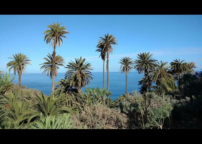 In Protected Space In Front Of The Sea لوس رياليخوس