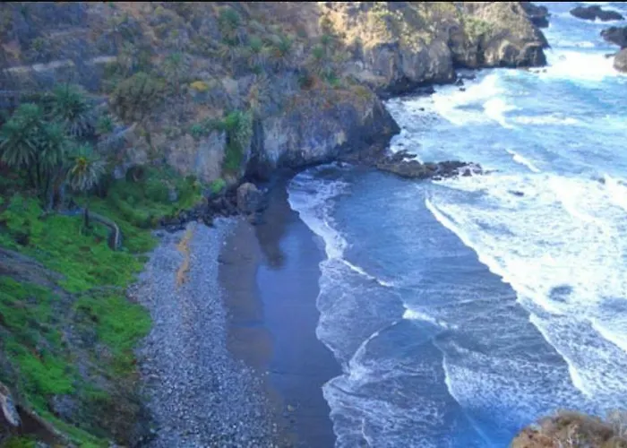 فيلة In Protected Space In Front Of The Sea *